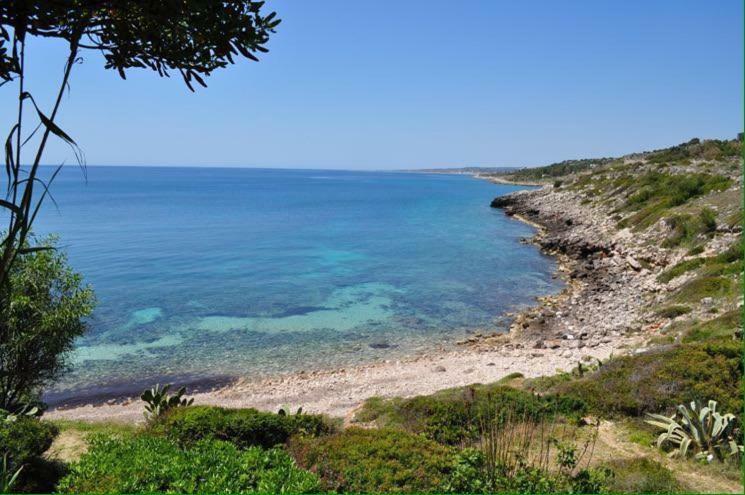 Viadelmare